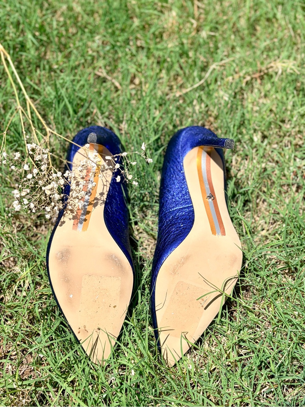 Sam Edelman Shimmering Cobalt Pointed Toe Flats - Picture 4 of 5